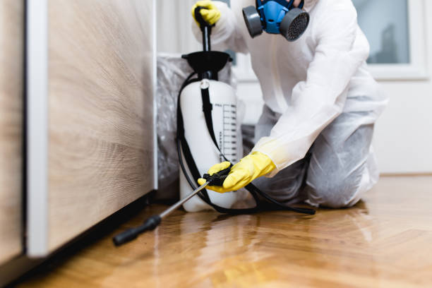 Best Commercial Pest Control Services  in Green Cove Springs, FL