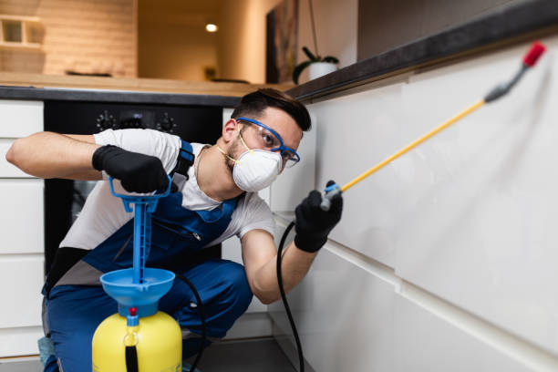 Best Mosquito Control Services  in Green Cove Springs, FL