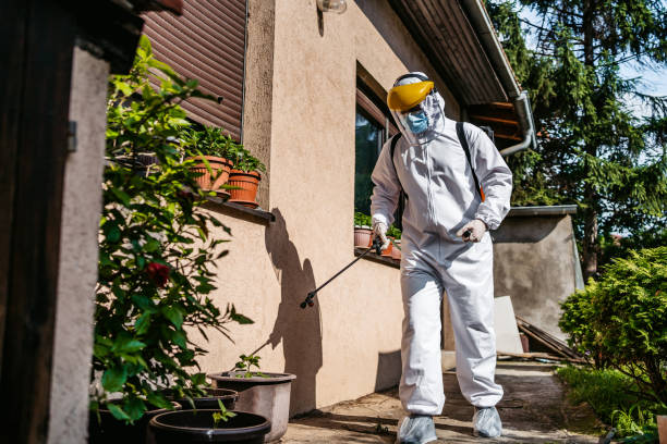 Best Rat Extermination Near Me  in Green Cove Springs, FL