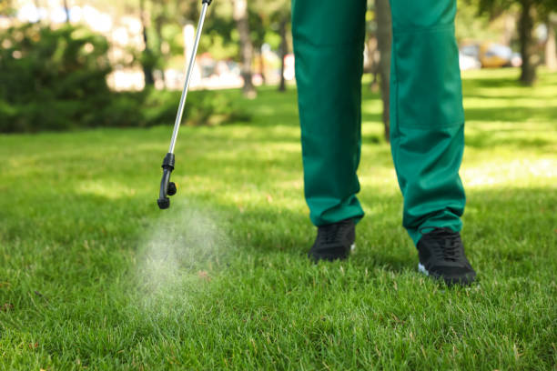 Best Affordable Pest Control Services  in Green Cove Springs, FL