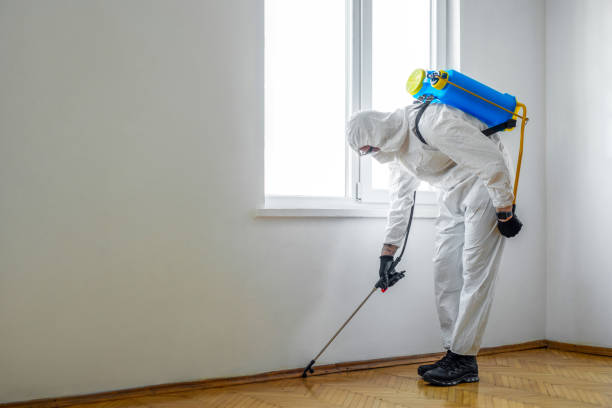 Best Emergency Pest Control  in Green Cove Springs, FL