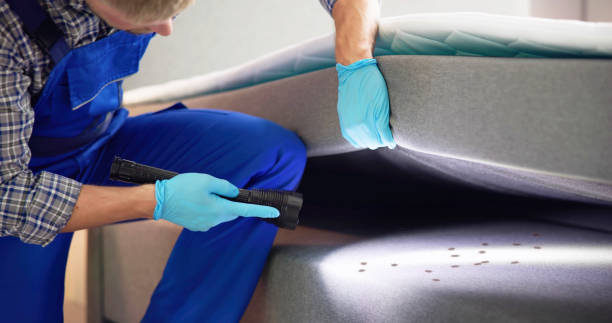 Best Pest Removal Services  in Green Cove Springs, FL