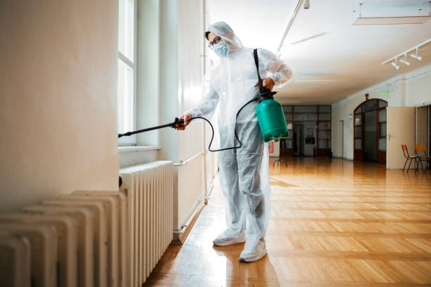 Best Local Pest Control Services  in Green Cove Springs, FL